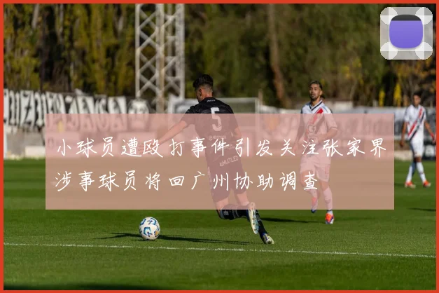 小球员遭殴打事件引发关注张家界涉事球员将回广州协助调查