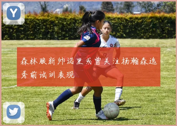 森林狼新帅诺里或曾关注杨瀚森选秀前试训表现